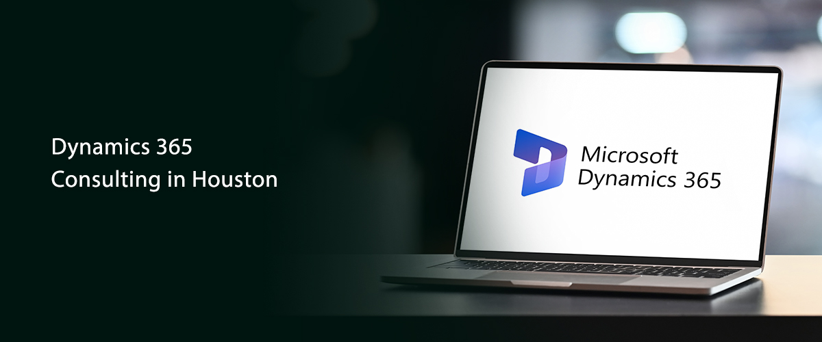 Dynamics 365 Consulting in Houston | D365 Partner - Vastasys